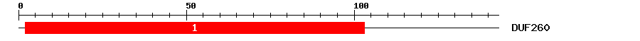 Signature Domain
