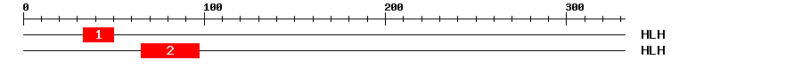 Signature Domain