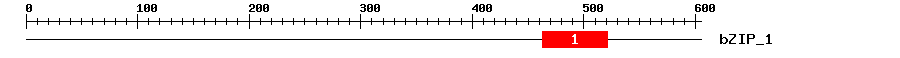 Signature Domain