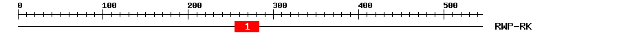 Signature Domain