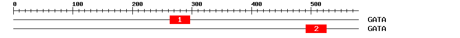 Signature Domain