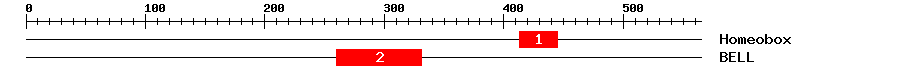 Signature Domain