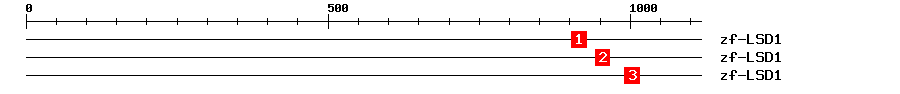 Signature Domain
