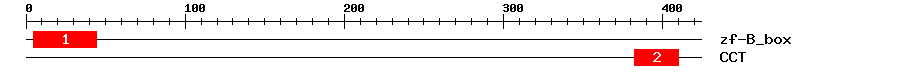Signature Domain
