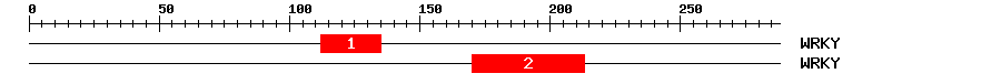 Signature Domain