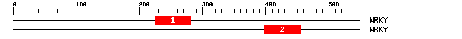 Signature Domain