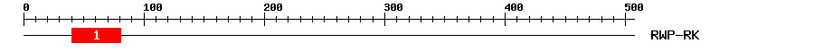 Signature Domain