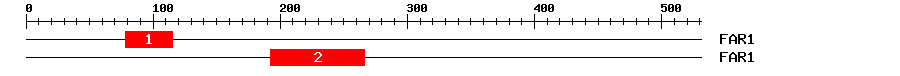 Signature Domain