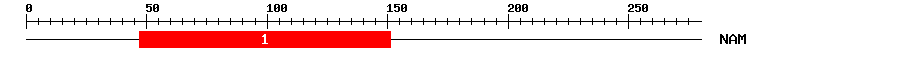 Signature Domain