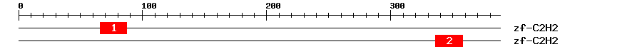Signature Domain