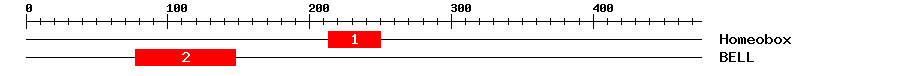 Signature Domain
