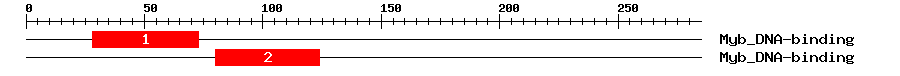 Signature Domain