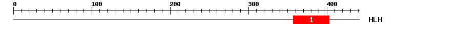 Signature Domain