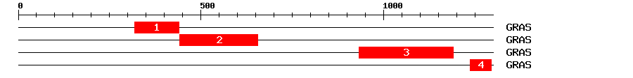 Signature Domain