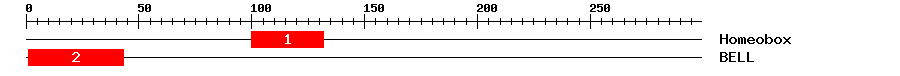 Signature Domain