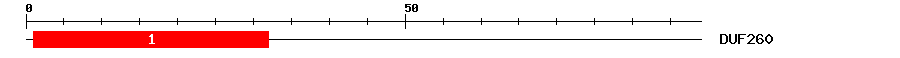 Signature Domain