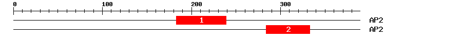 Signature Domain