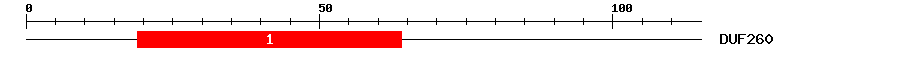 Signature Domain