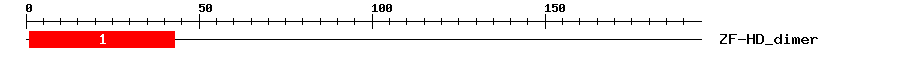 Signature Domain