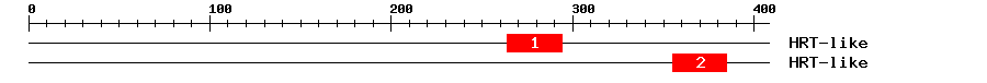 Signature Domain
