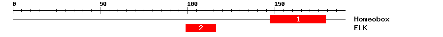 Signature Domain