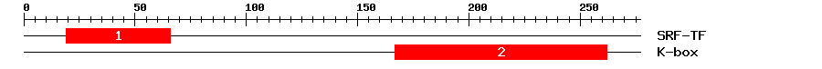 Signature Domain