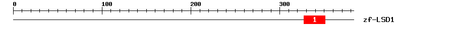 Signature Domain