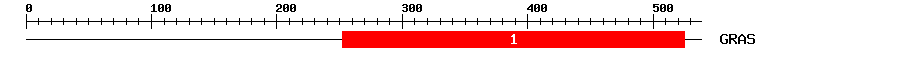 Signature Domain