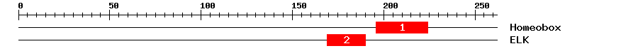 Signature Domain