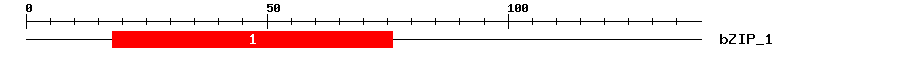 Signature Domain