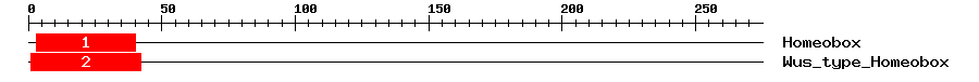Signature Domain
