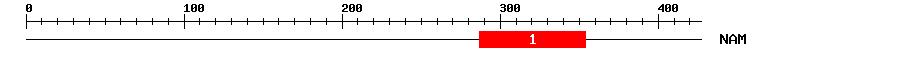 Signature Domain