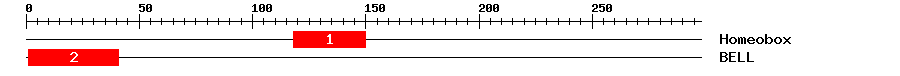 Signature Domain