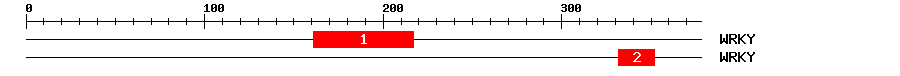 Signature Domain