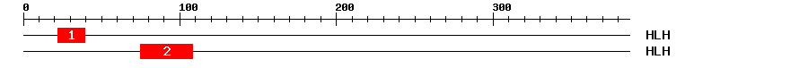 Signature Domain