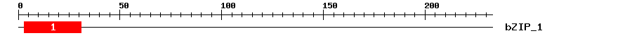 Signature Domain
