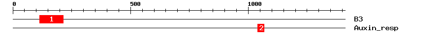 Signature Domain