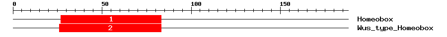 Signature Domain