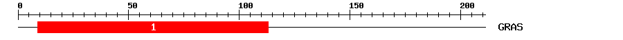 Signature Domain