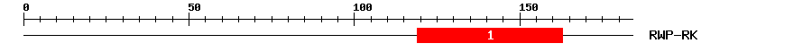 Signature Domain
