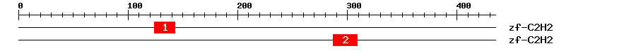 Signature Domain