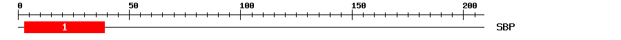 Signature Domain