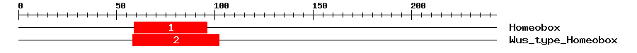 Signature Domain