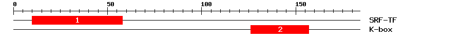 Signature Domain