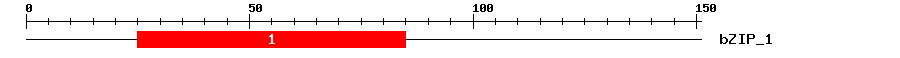 Signature Domain