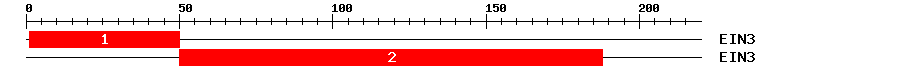 Signature Domain