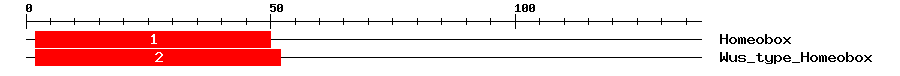 Signature Domain