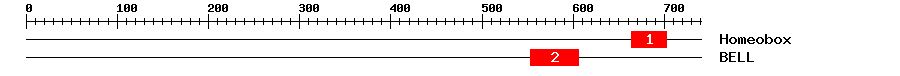 Signature Domain