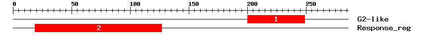 Signature Domain