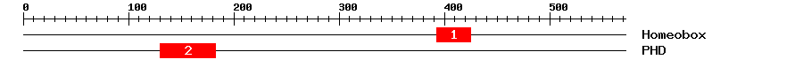 Signature Domain